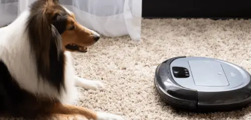 Quietest Robot Vacuum