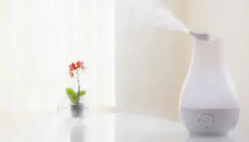 7 Quietest Humidifier In 2021: Silent Humidifiers For Bedroom Or Nursery