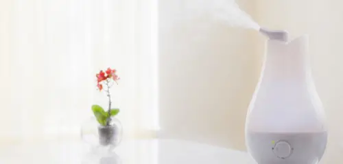 8 Best Quietest Humidifier In 2020_ Adds Moisture & Prevent Dryness
