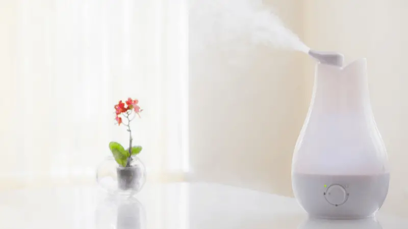 8 Best Quietest Humidifier In 2020_ Adds Moisture & Prevent Dryness
