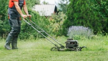 3 Ways To Block Noise From Your Neighbors’ Yard