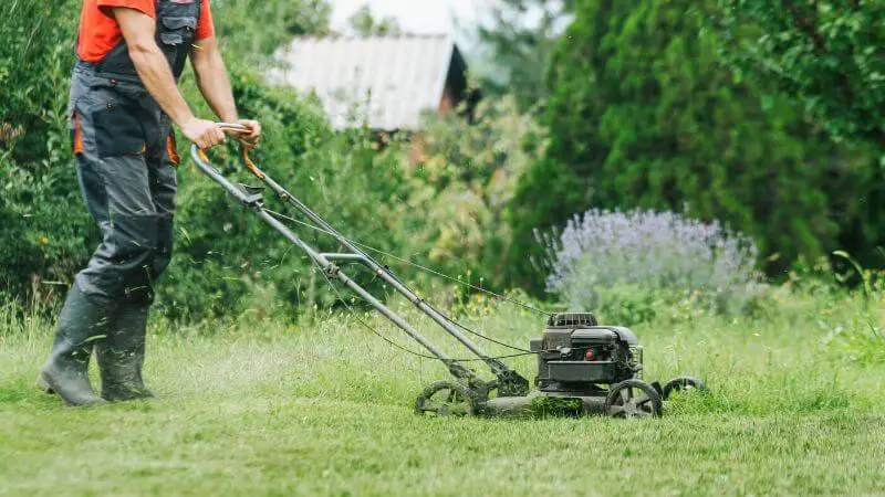 How To Block Noise From Neighbors Yard