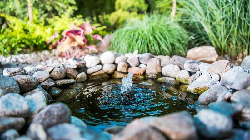 backyard water feature (1)